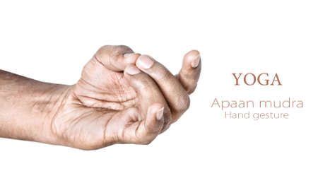 Set Of Mudras It Includes Such Mudras Prana Mudra Gyan Mudra Apan