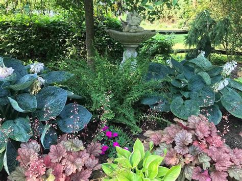 Landscaping With Hostas And Ferns