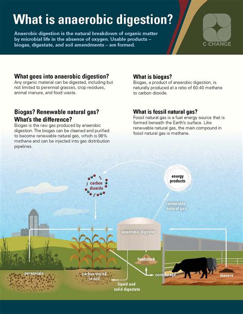 Infographic: What is Anaerobic Digestion? — Iowa Learning Farms