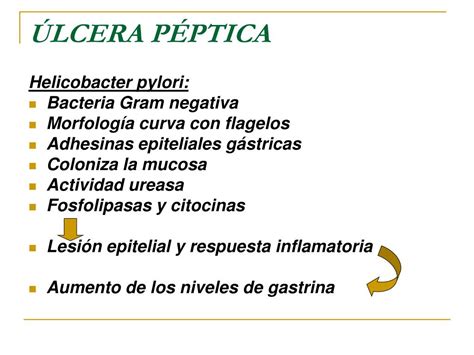 PPT Úlcera Péptica PowerPoint Presentation free download ID 3635203