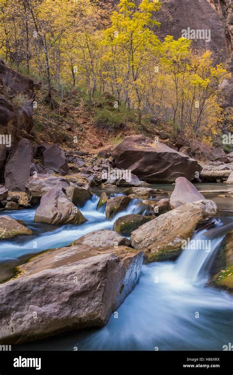 Virgin River, Zion National Park, Utah Stock Photo - Alamy