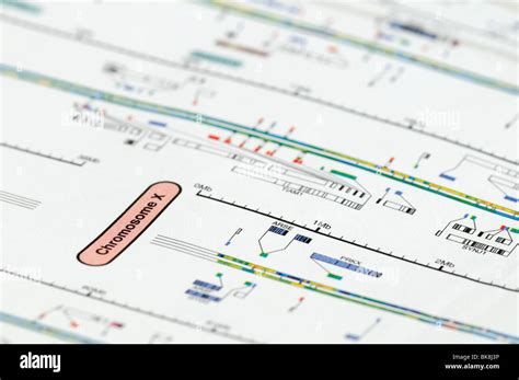 Human genome mapping hi-res stock photography and images - Alamy