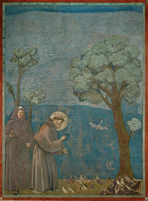 Saint Francis Of Assisi Preaching To The Birds Giotto Painting By