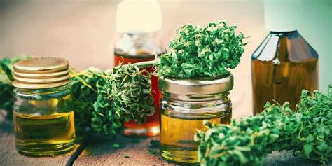 Le Cbd Contre Indication Effets Produits Et Pr Cautions