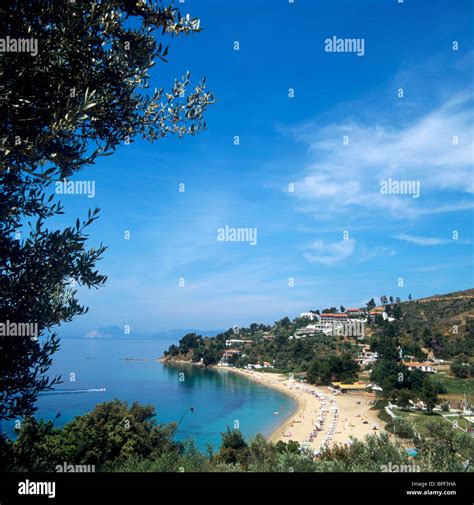 Troulos Beach Skiathos Sporades Islands Greece Stock Photo Alamy