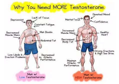 Natural Ways to Increase Testosterone - Testosterone Information