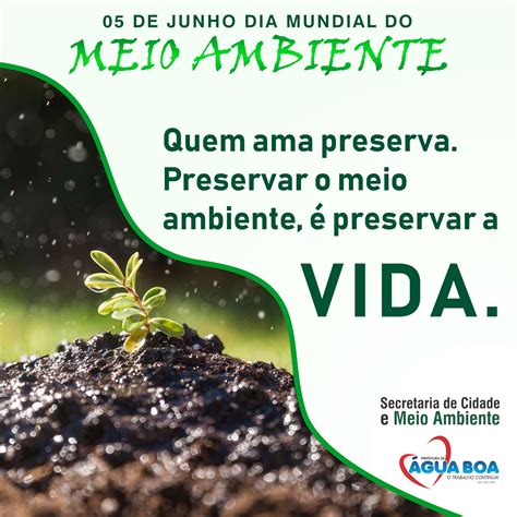 A O Em Comemora O Ao Dia Mundial Do Meio Ambiente Not Cias R Dio