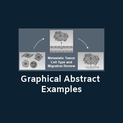 Best Graphical Abstract Examples with Free Templates