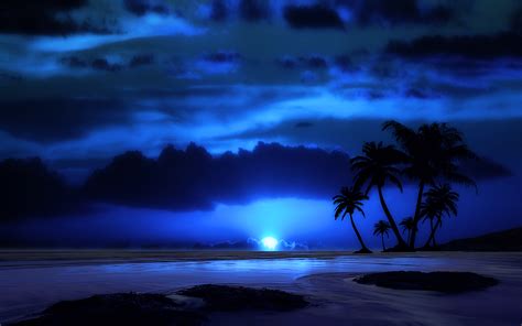 Serene Tropical Night A Beautiful HD Wallpaper