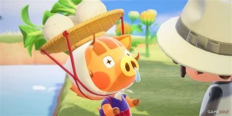 Animal Crossing New Horizons Fan Finds Use For 15 Million Worth Of