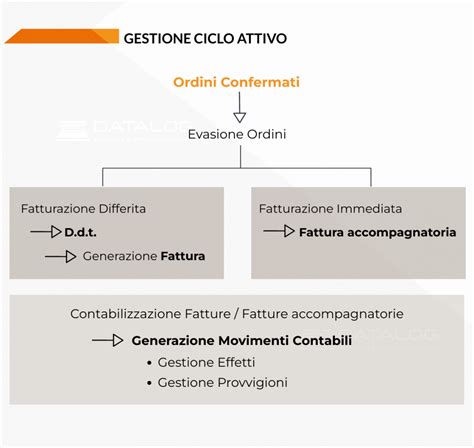 Software Di Fatturazione Elettronica E Gestionale Datalog®