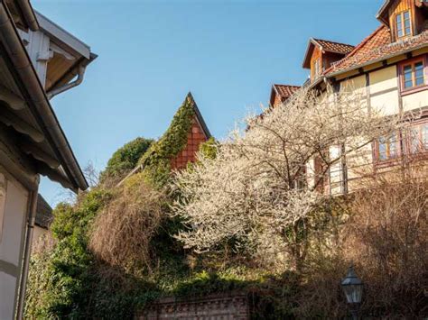 Quedlinburg Stadsrondleiding Met Gids Langs De Hoogtepunten Van De