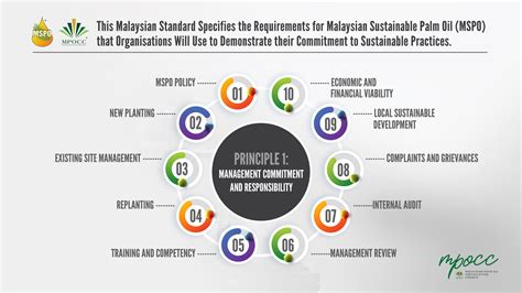 Principle 1 Of The Revised Mspo Standards Ms2530 2022 — Mspo