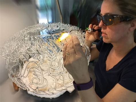 Meet The Artist Making Glass Coral Reefs Meet The Artist Making Glass Glass