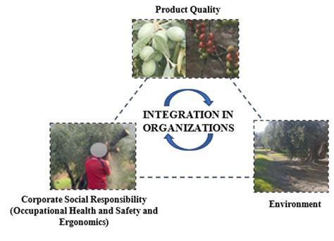 Agronomy Free Full Text Musculoskeletal Disorders In Agriculture A