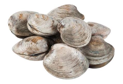 Cherrystone Clams | Hy-Vee Aisles Online Grocery Shopping