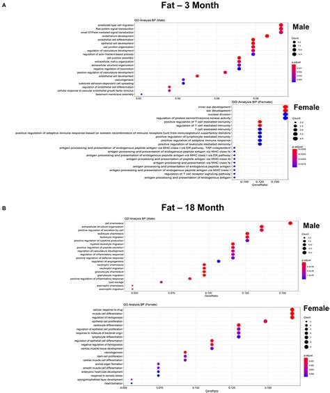 Frontiers Single Cell Transcriptional Profiling Reveals Sex And Age