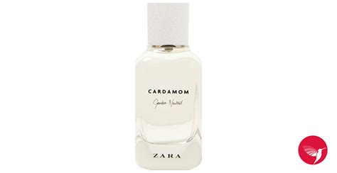 Cardamom - Gender Neutral Zara perfume - a new fragrance for women and ...