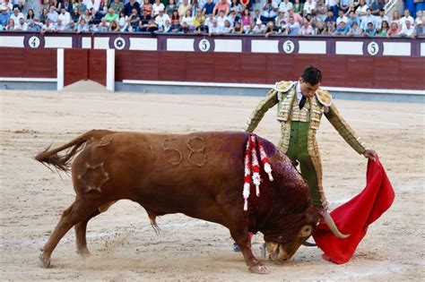 Paco Ure A Volteado De Manera Dram Tica Oreja Por El Camino De La