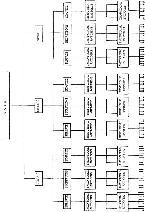 Figure 11 From Aspects Of The Intensity Of Infection Of Ascaris Lumbricoides Nematoda