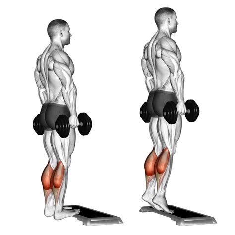 Calf Raise With Dumbbell