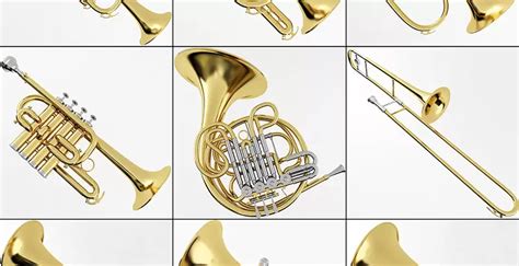 Different Types Of Brass Instruments