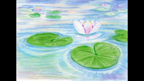 Water Lily Pad Drawing