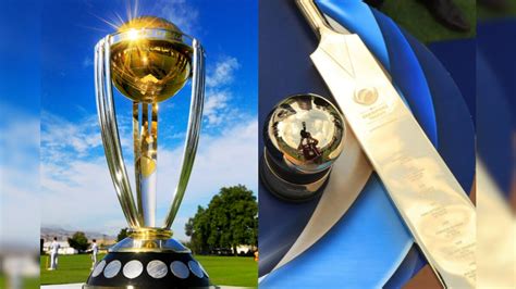 Odi World Cup 2023 Knowledge Story ওডিআই বিশ্বকাপে সবথেকে বেশি সোনার