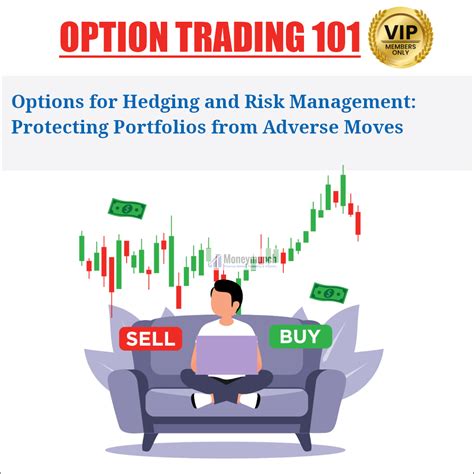 Options For Hedging And Risk Management Protecting Portfolios From