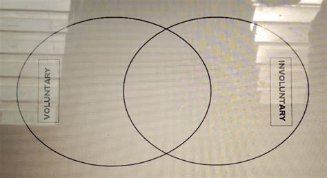 Solved Learning Task No 5 A Find The Differences And Similarities