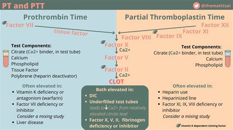 Spent Yesterday Reviewing Some Common Coagulation Labs And Their