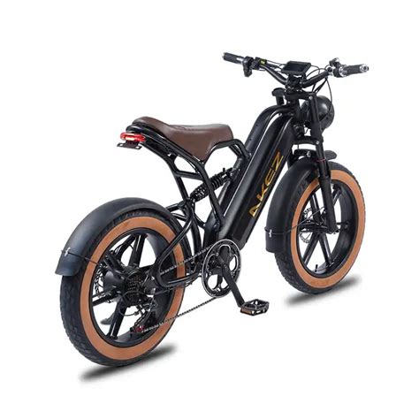 FALCON 750W Retro Electric City Bike With 20 Inch Off Road Fat Tires