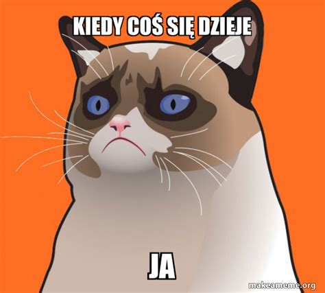 Kiedy Co Si Dzieje Ja Cartoon Grumpy Cat Meme Generator