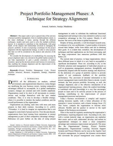 Project Portfolio Management 12 Examples Format Pdf