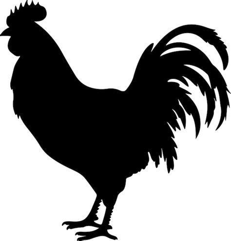 Premium Vector Chicken Silhouette Vector Illustration White Background