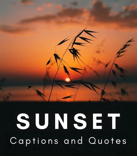 Sunset Quotes And Caption Ideas For Instagram Hubpages