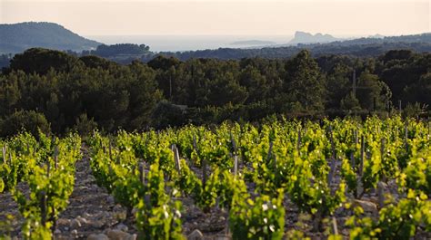 La photothèque Vins de Bandol