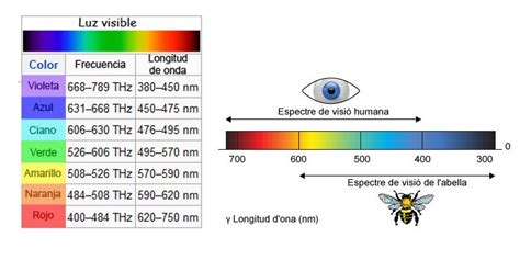 Hasta D Nde Llega El Ojo Humano Al Leer Un Color Colorbatch