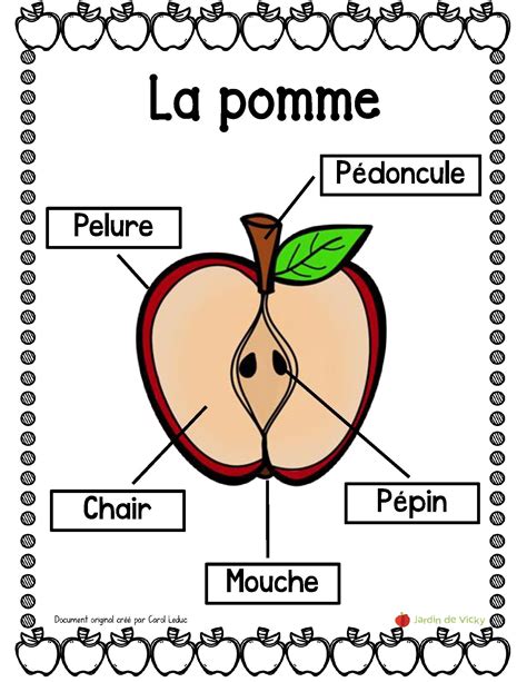 Affiches présentant les parties de la pomme Classroom behavior