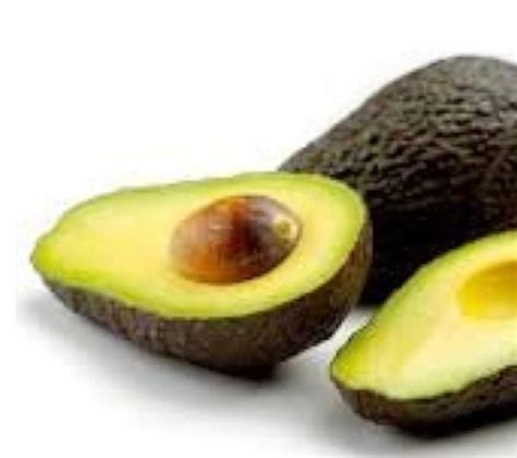 Hass Avocado Tree - Etsy