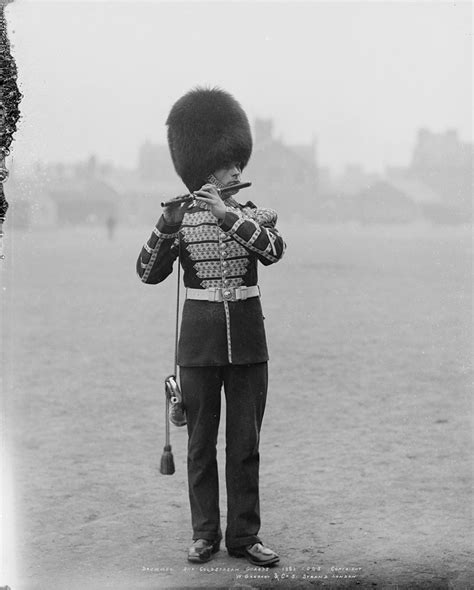 Drummer Nd Battalion Coldstream Guards Glass Negative C