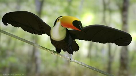 Diario Ar Descartan Que Tucanes Del Amazonas Lleguen Al Chaco Y