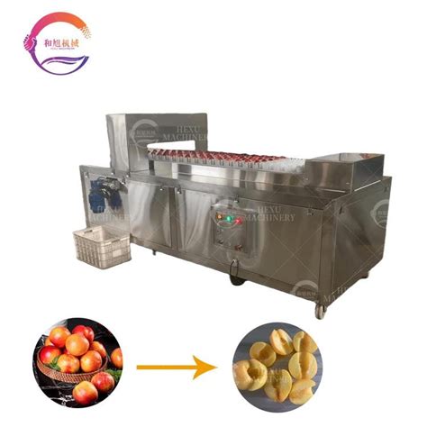 Hot Sale Peach Pitting Machine / Coring Equipment/Pitter - QH-P - HeXu ...