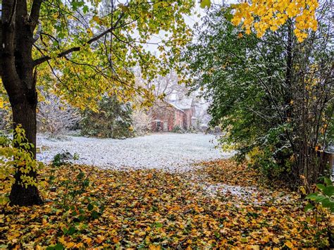 In Canada, sometimes you get all the seasons at once. Taken in my backyard. : r/pics