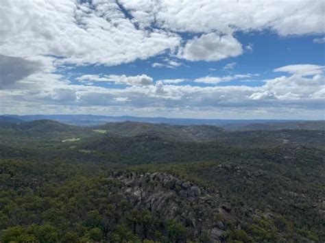 10 Best Hikes and Trails in Girraween National Park | AllTrails