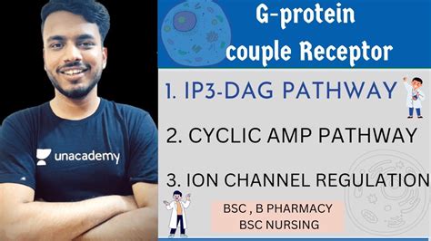 Gpcr Adenylyl Cyclase Pathway Gpcr Pharmacology Gpcr Receptor