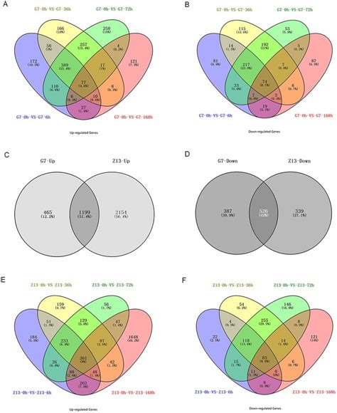 Venn Diagram Showing Overlap Of Up Regulated And Down Regulated Genes