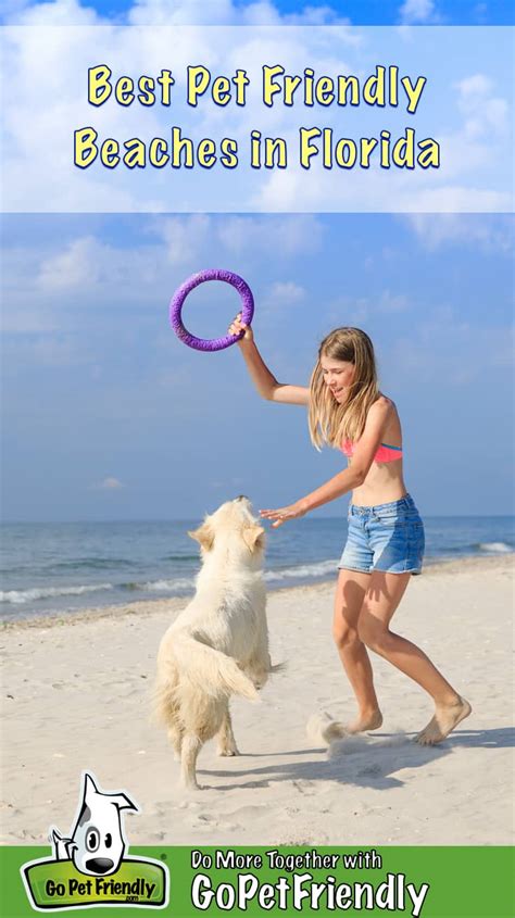 Best Pet Friendly Beaches In Florida | GoPetFriendly