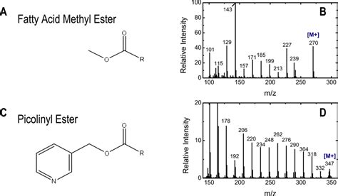 Gc Ms Analysis Of Fatty Acid Picolinyl Ester Derivatives A Chemical