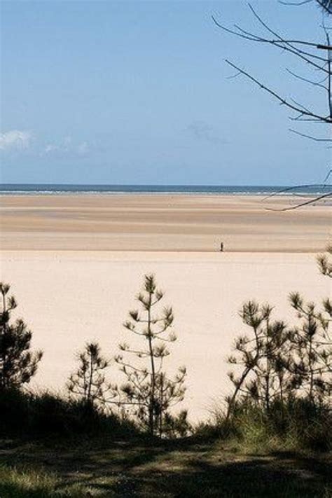 Dog walk at Holkham Beach, North Norfolk · Norfolk · Walkiees